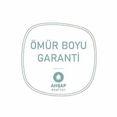 Doğal Ağaç Orta Sehpa